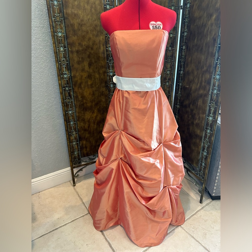 Bari Jay Evening Gown Worn Once Size 6